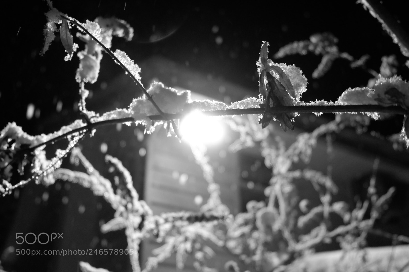 Fujifilm X-A3 sample photo. Mini blizzard february 2018 photography
