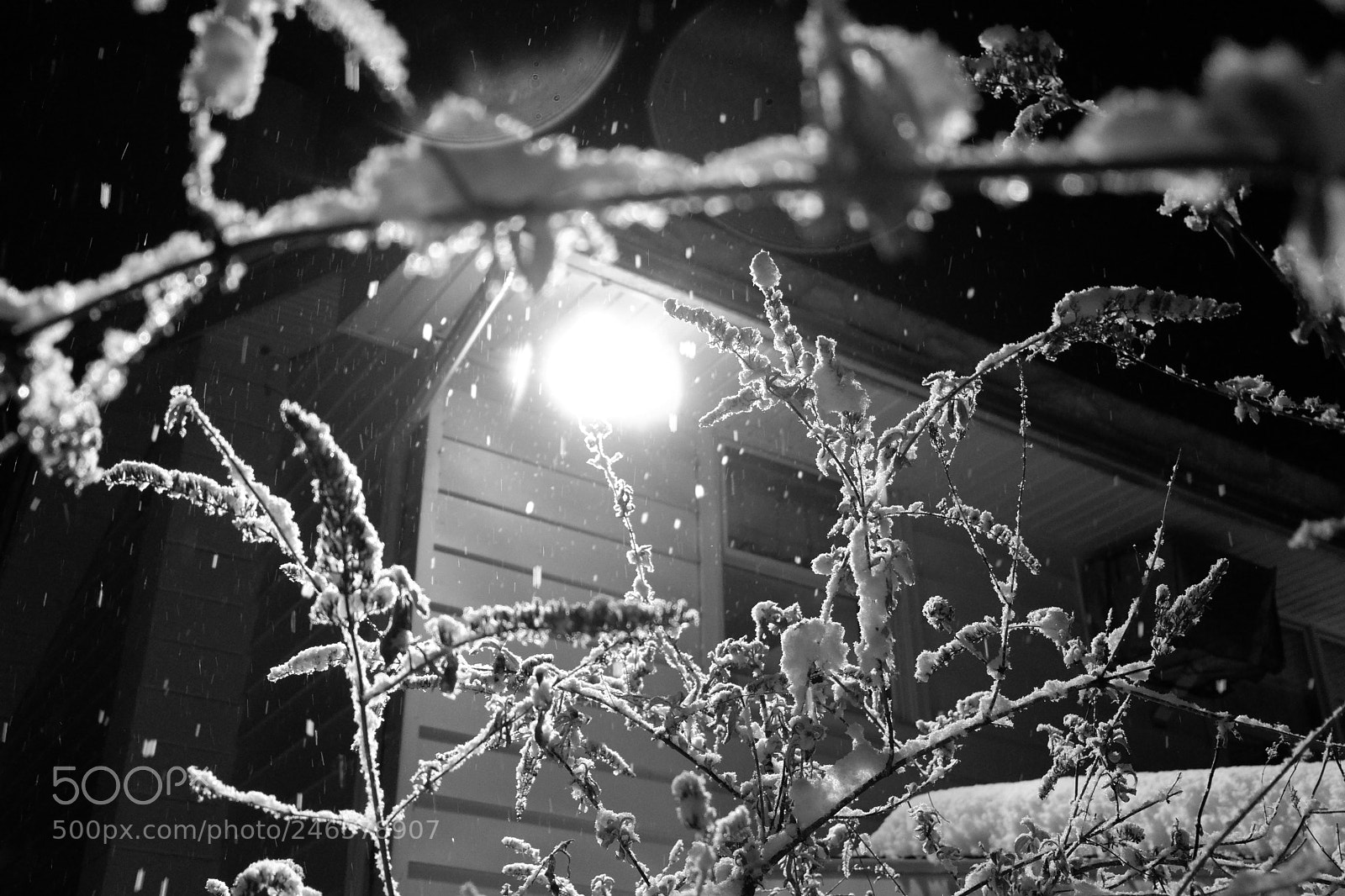 Fujifilm X-A3 sample photo. Mini blizzard february 2018 photography