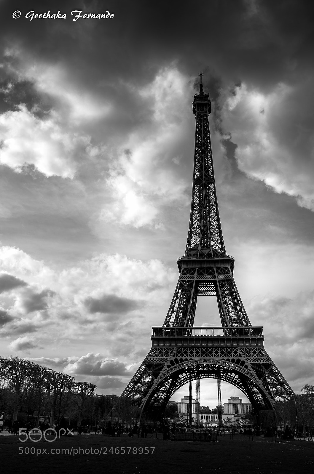 Nikon D5100 sample photo. Eiffel tower photography