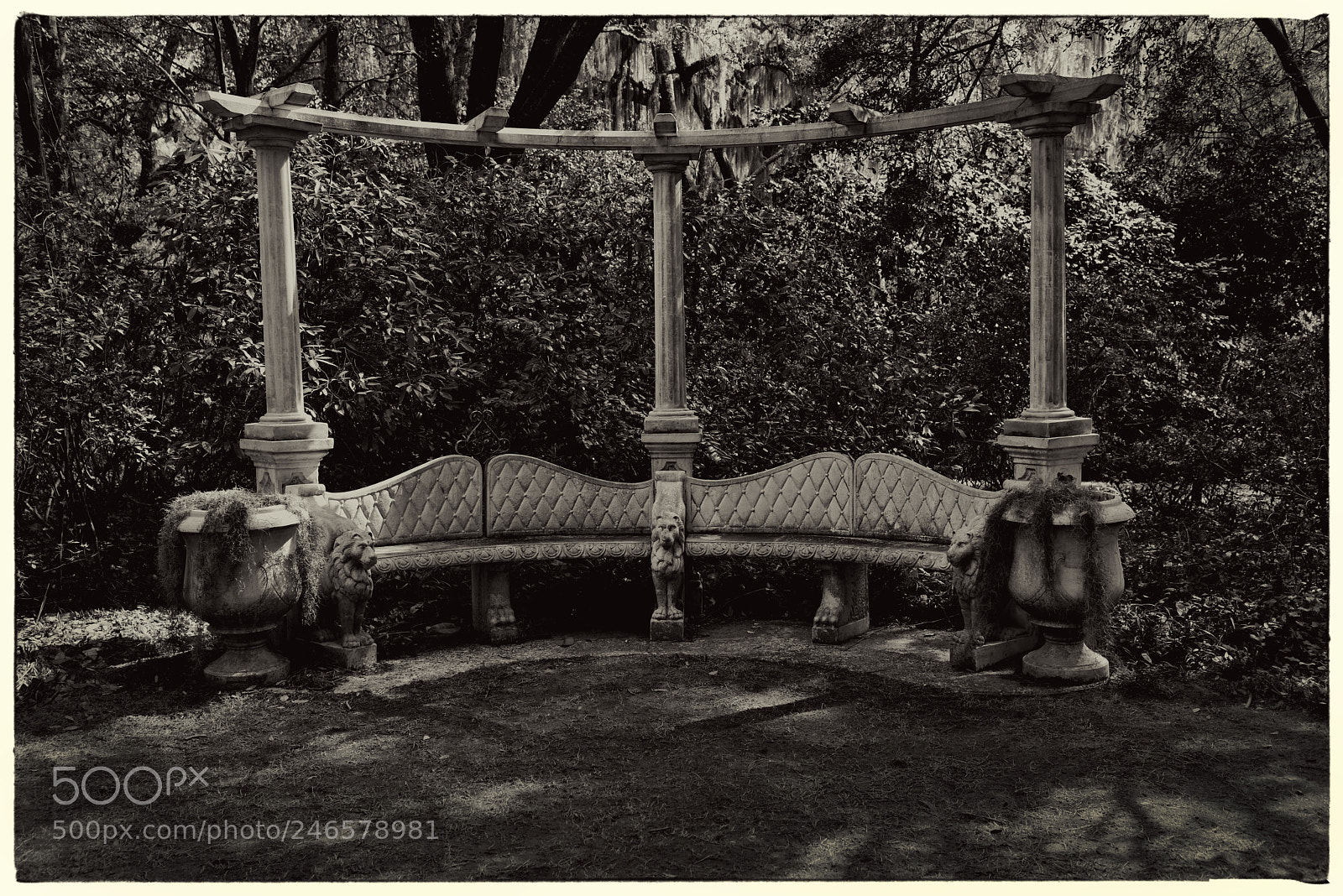 Nikon D810 sample photo. Airlie gardens, still life photography