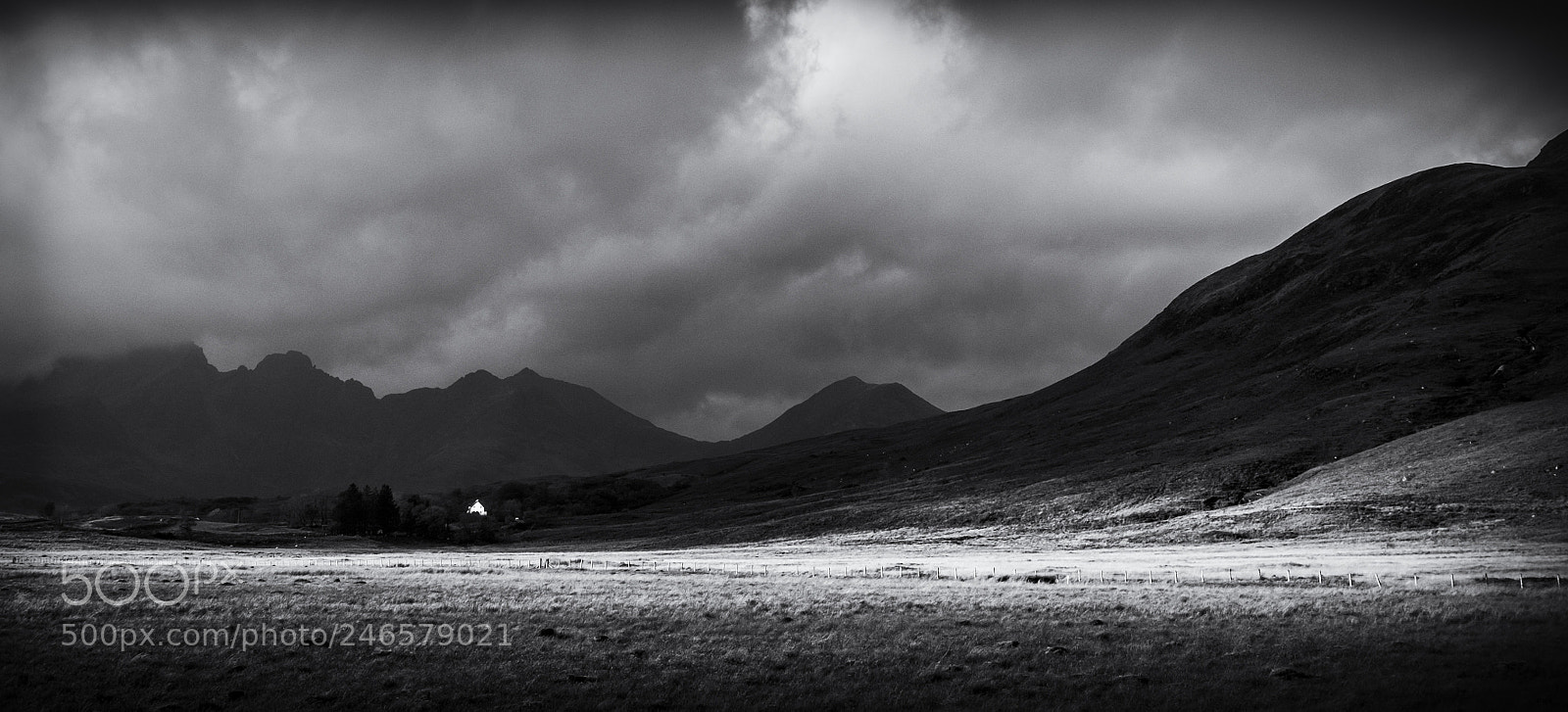Fujifilm X-T1 sample photo. Isolated photography