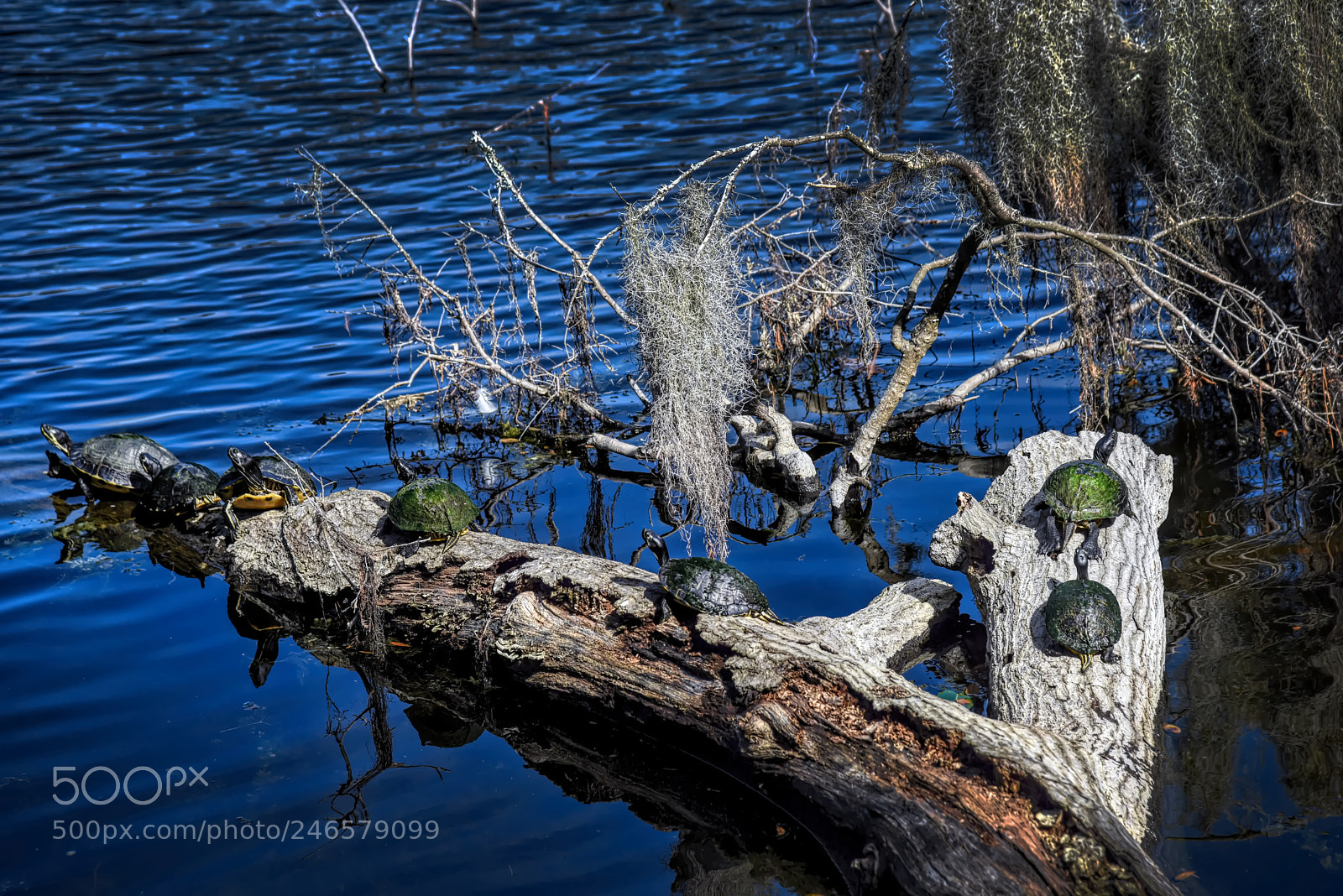 Nikon D810 sample photo. "what a day!" photography