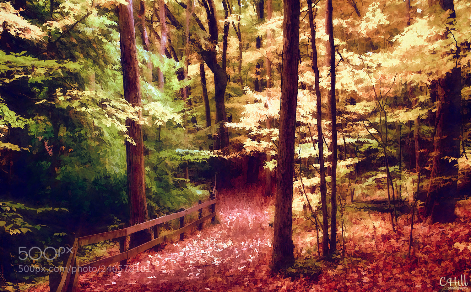 Canon EOS 650D (EOS Rebel T4i / EOS Kiss X6i) sample photo. Autumn path photography