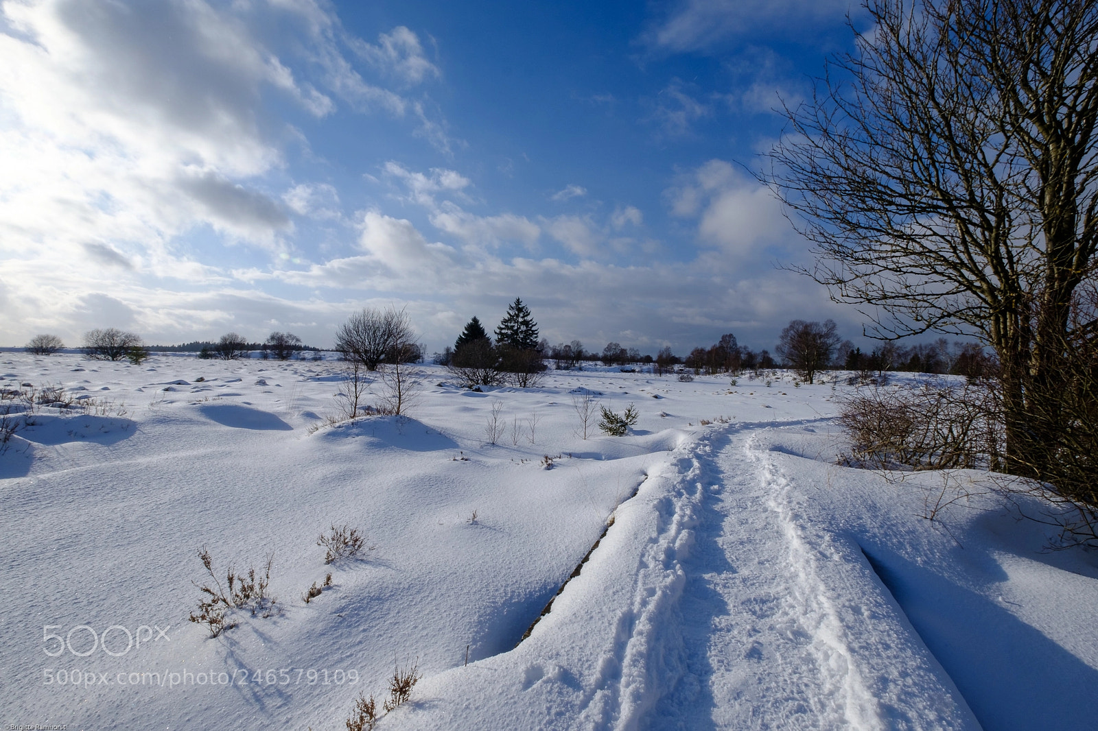 Fujifilm X-T2 sample photo. Februar im venn und photography
