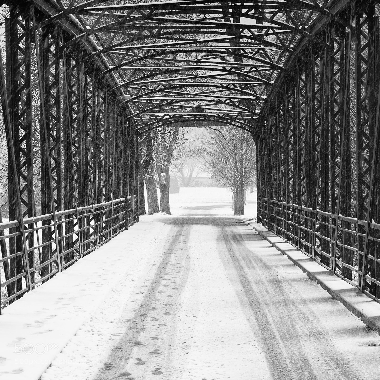 Nikon D7100 sample photo. Where does the path photography