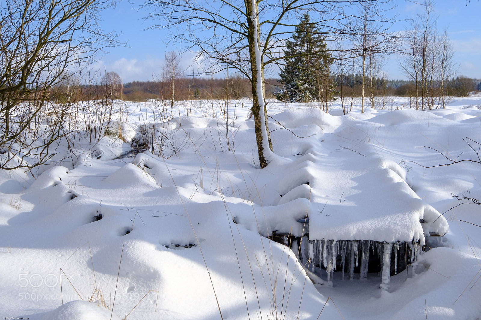 Fujifilm X-T2 sample photo. Februar im venn und photography