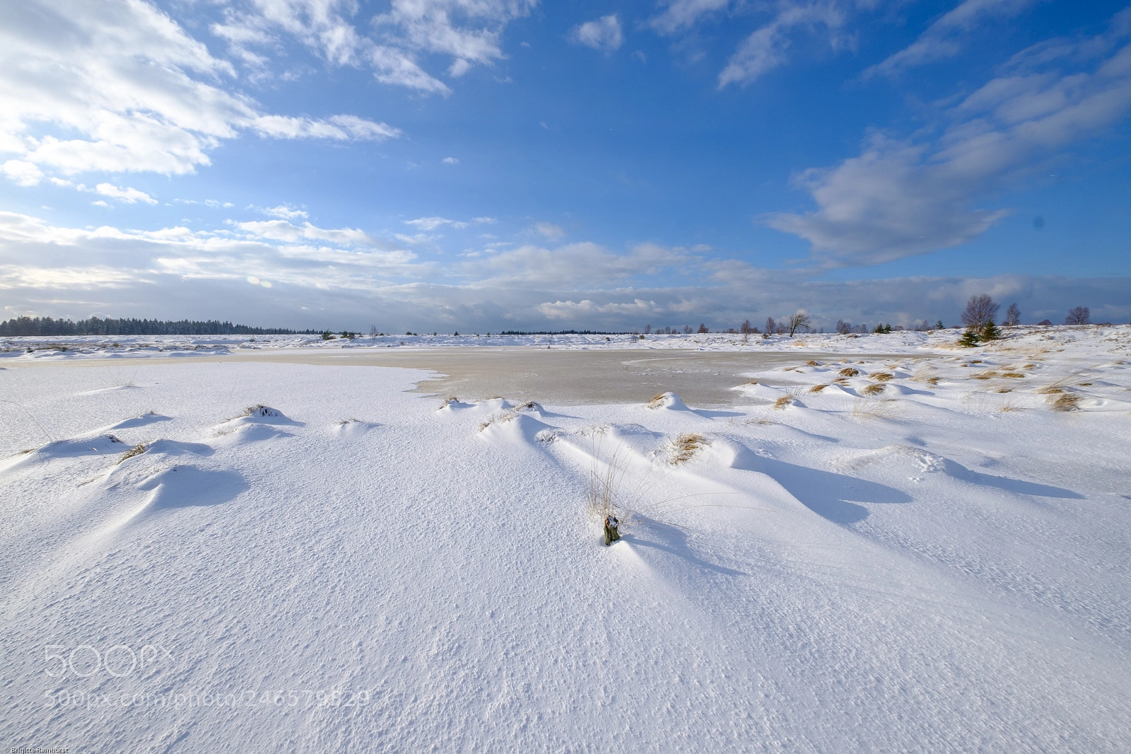 Fujifilm X-T2 sample photo. Februar im venn und photography