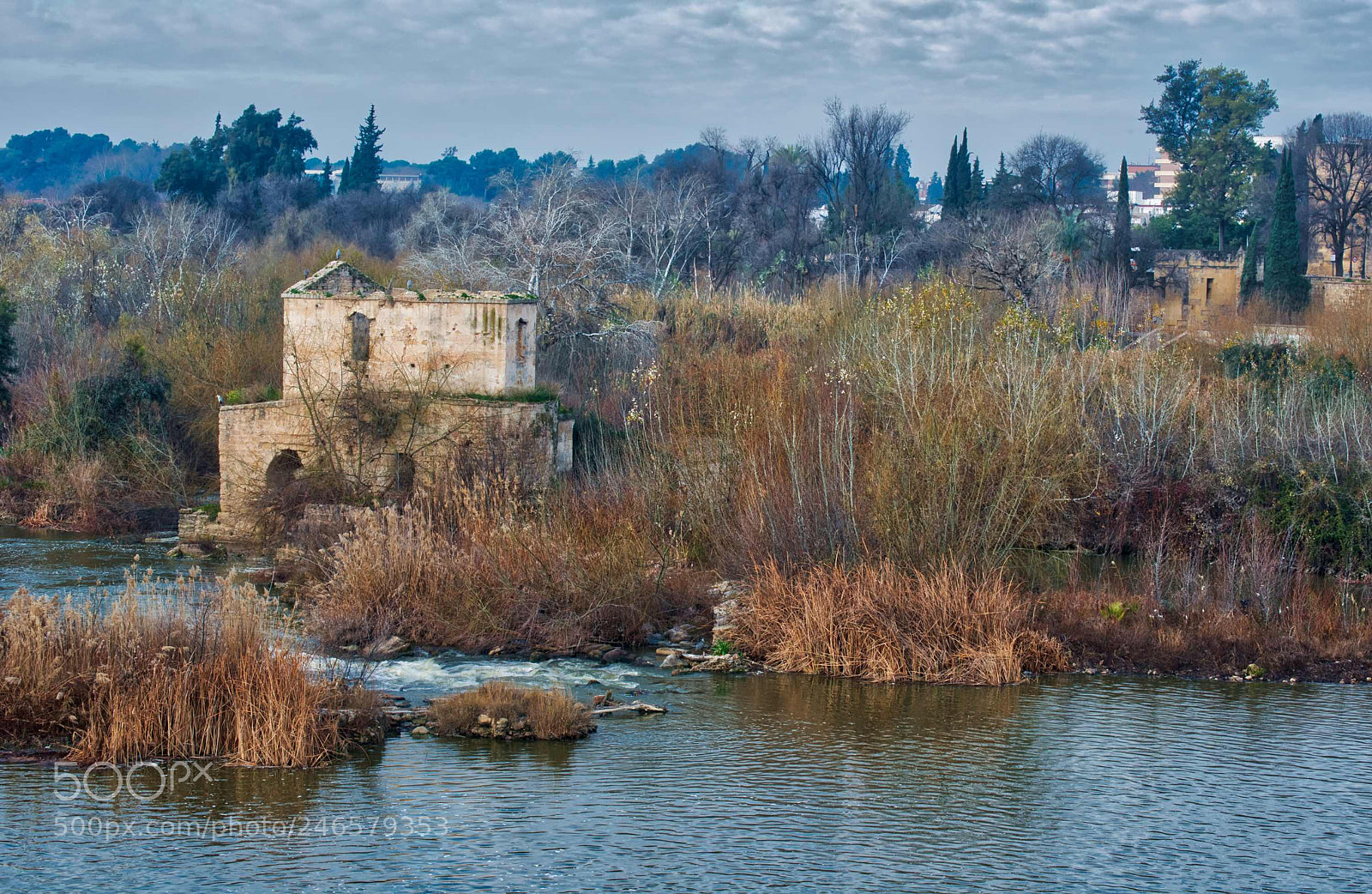 Nikon D800 sample photo. Sotos del guadalquivir photography