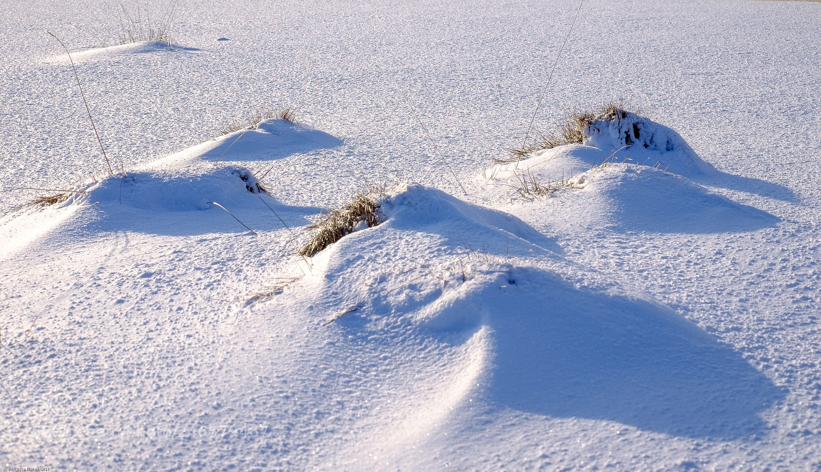 Fujifilm X-E2 sample photo. Februar im venn und photography