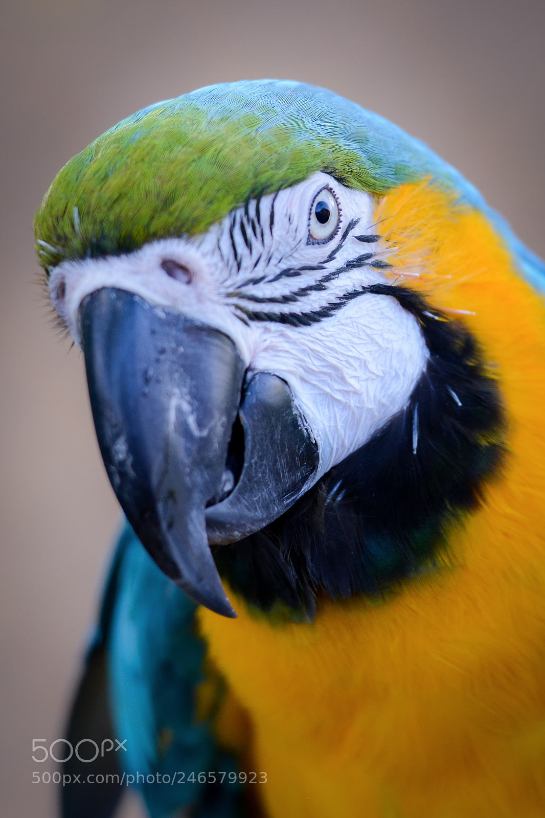 Nikon D7100 sample photo. 377 photography