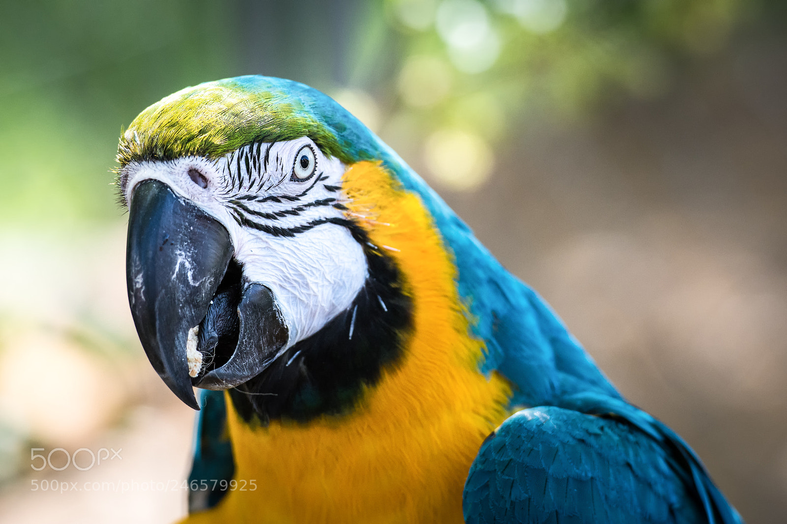 Nikon D7100 sample photo. 405 photography