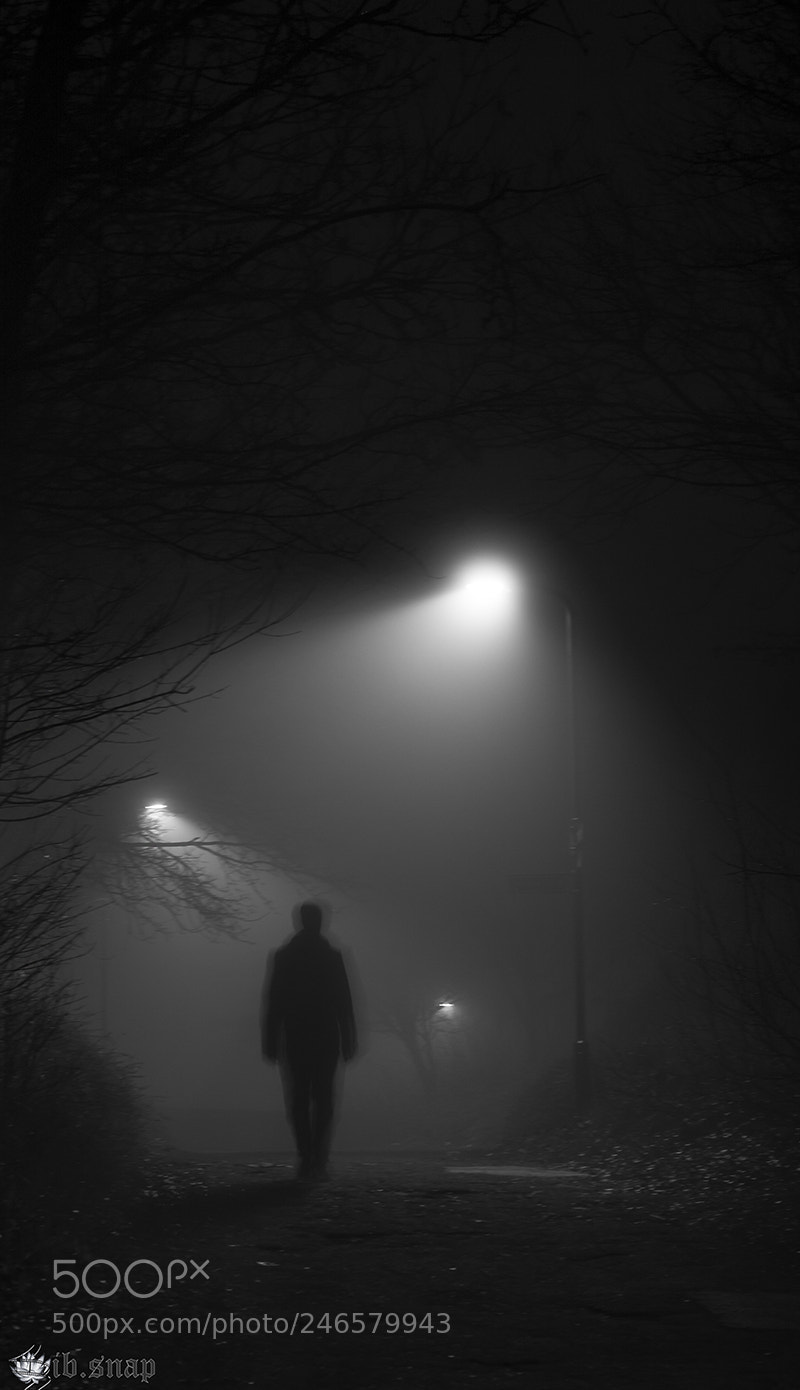 Nikon D3200 sample photo. Alone in the fog photography