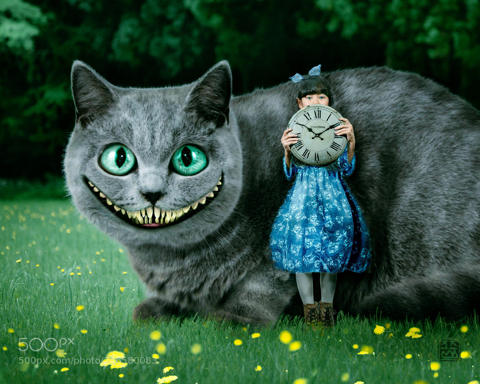 Nikon D850 sample photo. Grin like a cheshire photography