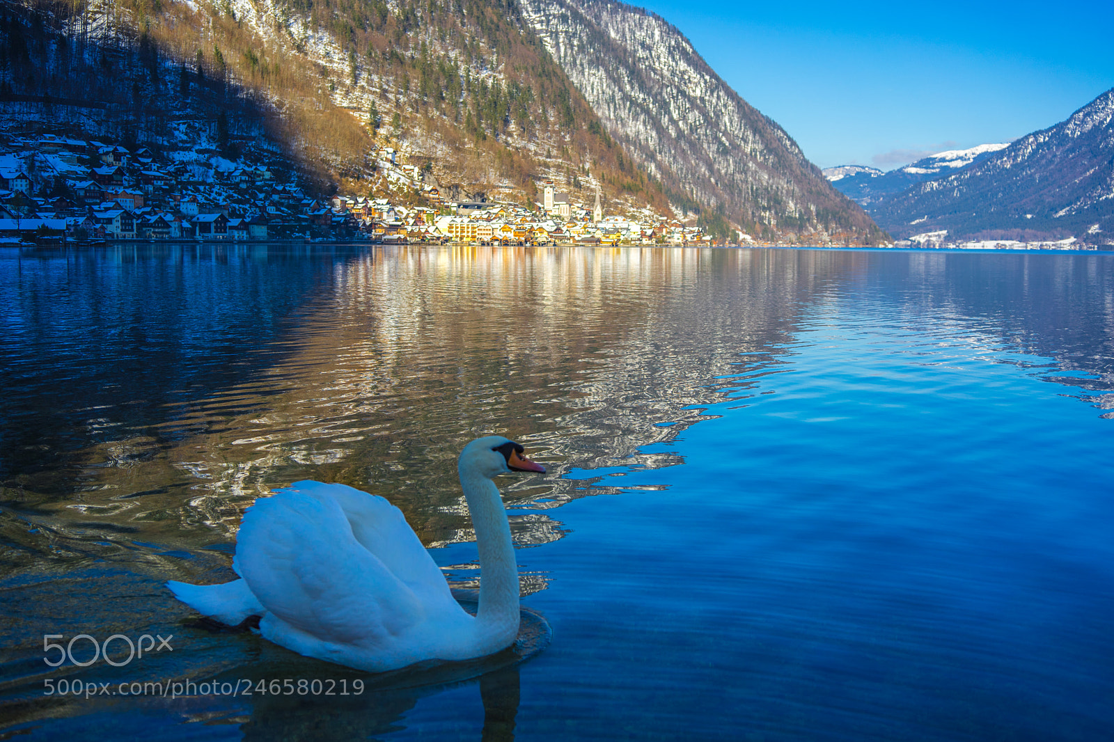 Sony a7 II sample photo. Swan and hallstatt photography