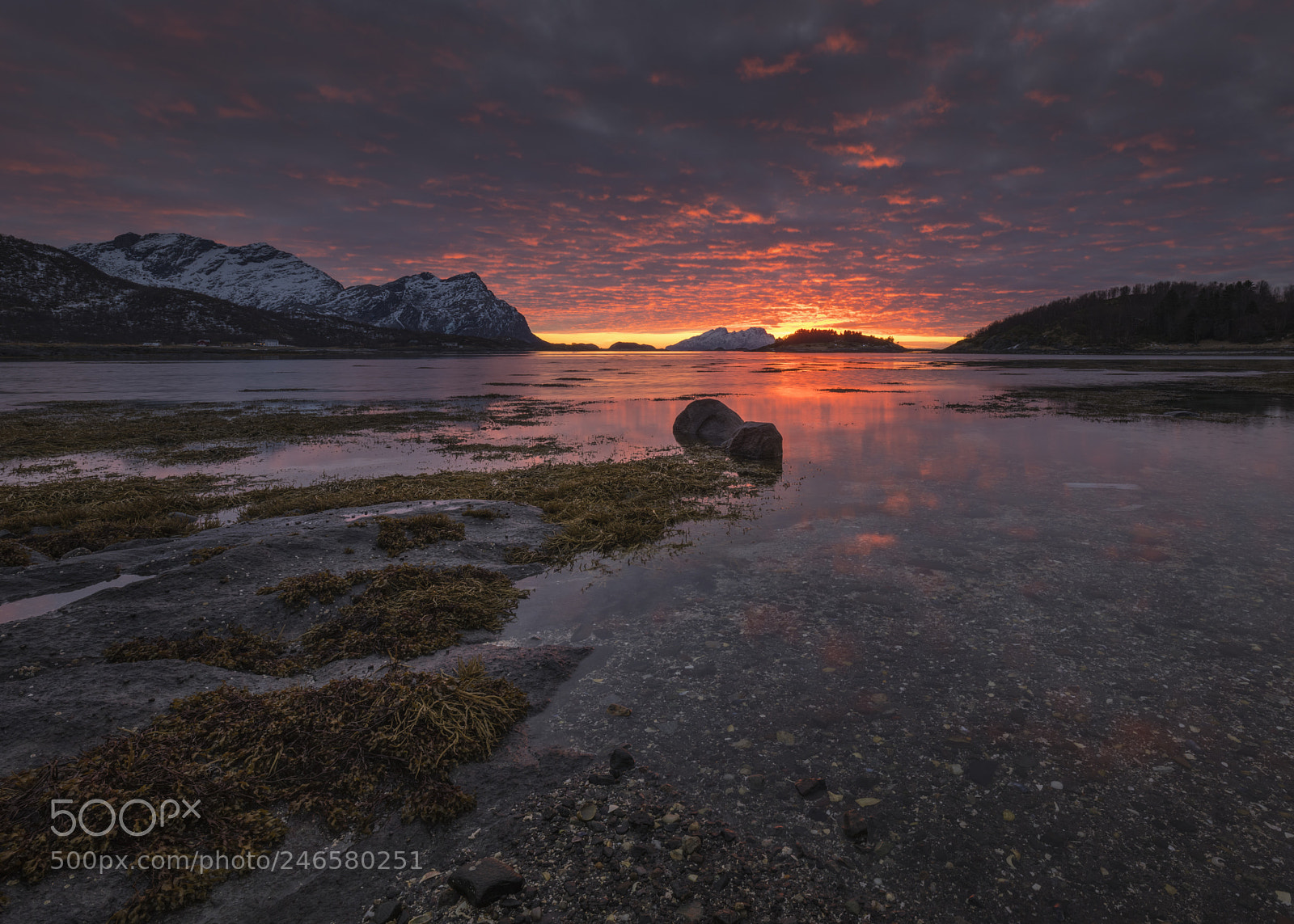 Nikon D850 sample photo. Solglimt over landegode photography