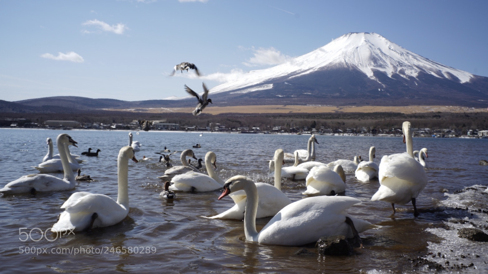 Sony a7R II sample photo. Capture in winter of photography