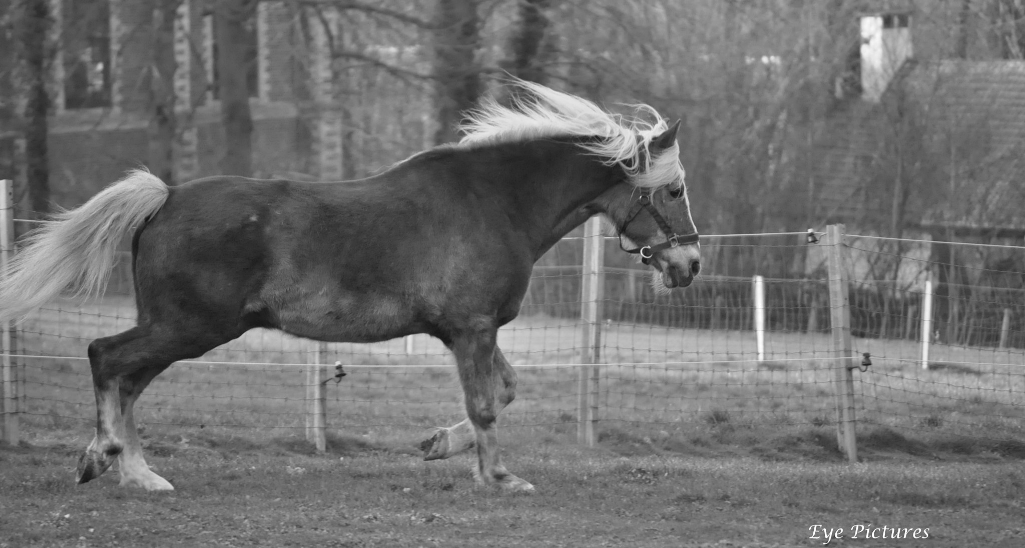 Nikon D90 sample photo