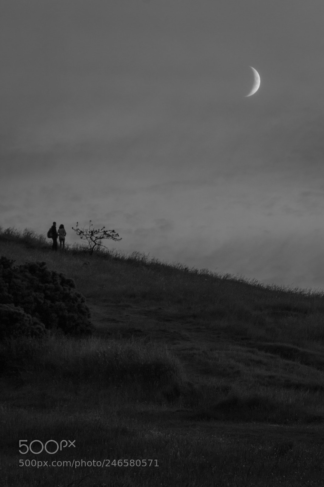 Canon EOS 600D (Rebel EOS T3i / EOS Kiss X5) sample photo. The moon over holyrood photography