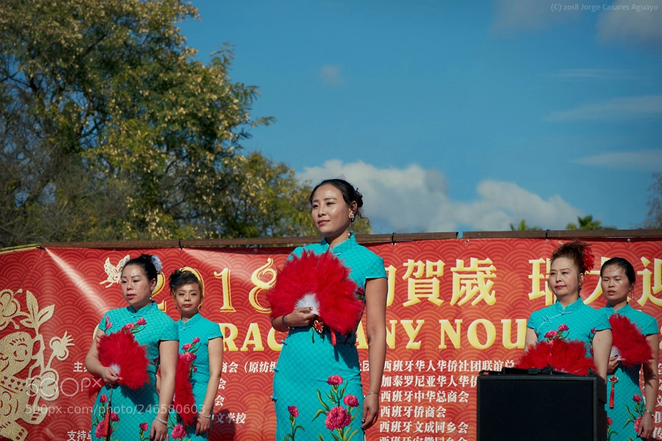Nikon D7500 sample photo. Chinese new year 2018 photography