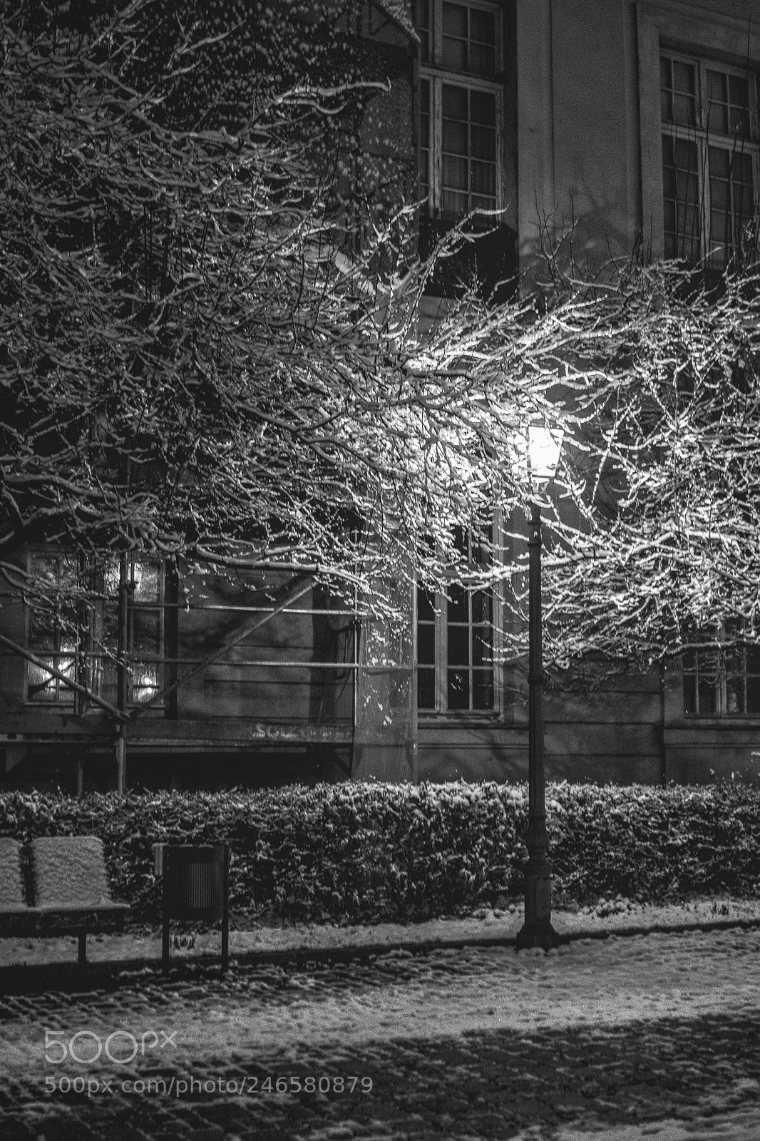 Canon EOS 7D Mark II sample photo. Black lamp photography