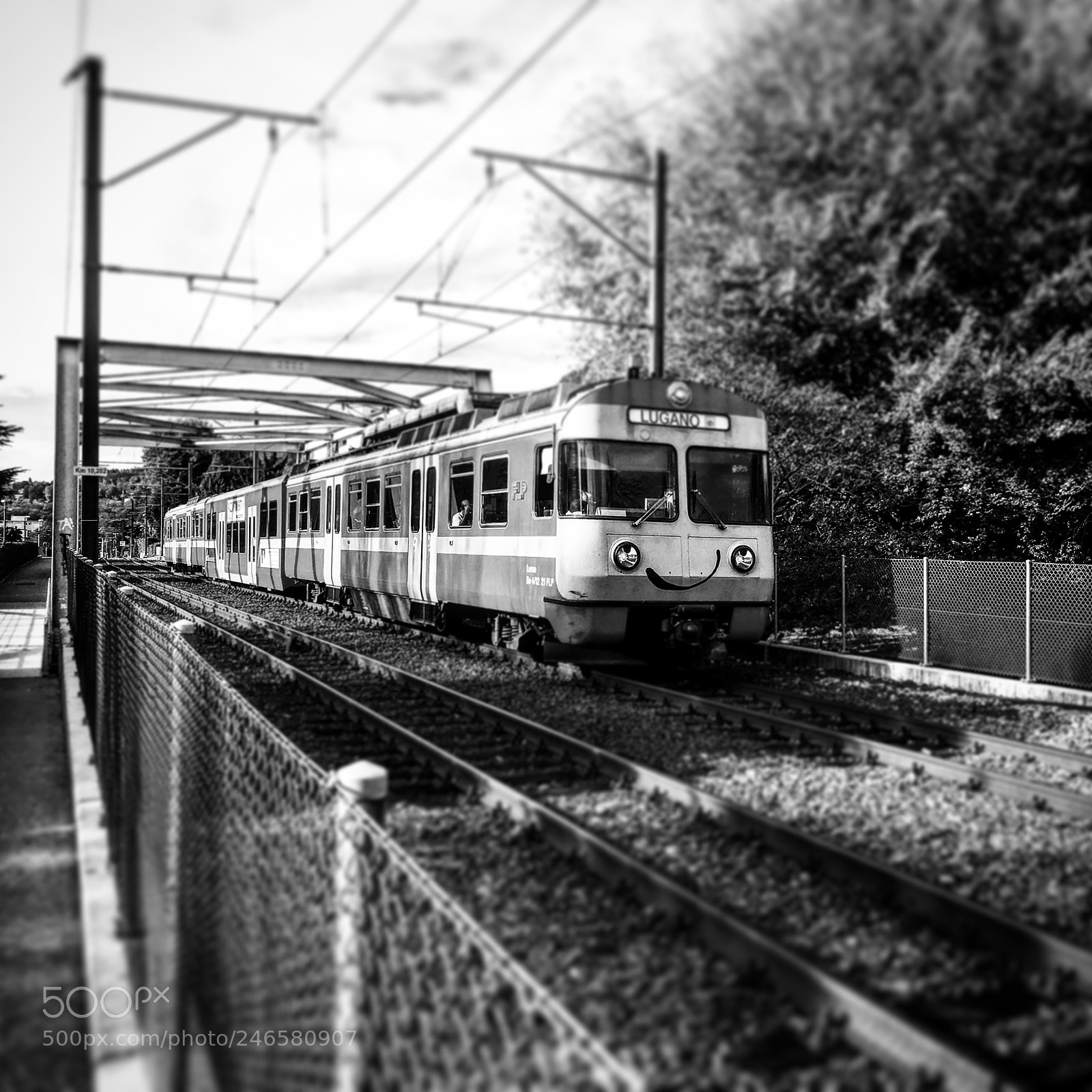 Apple iPhone 6s Plus sample photo. Untitled photography