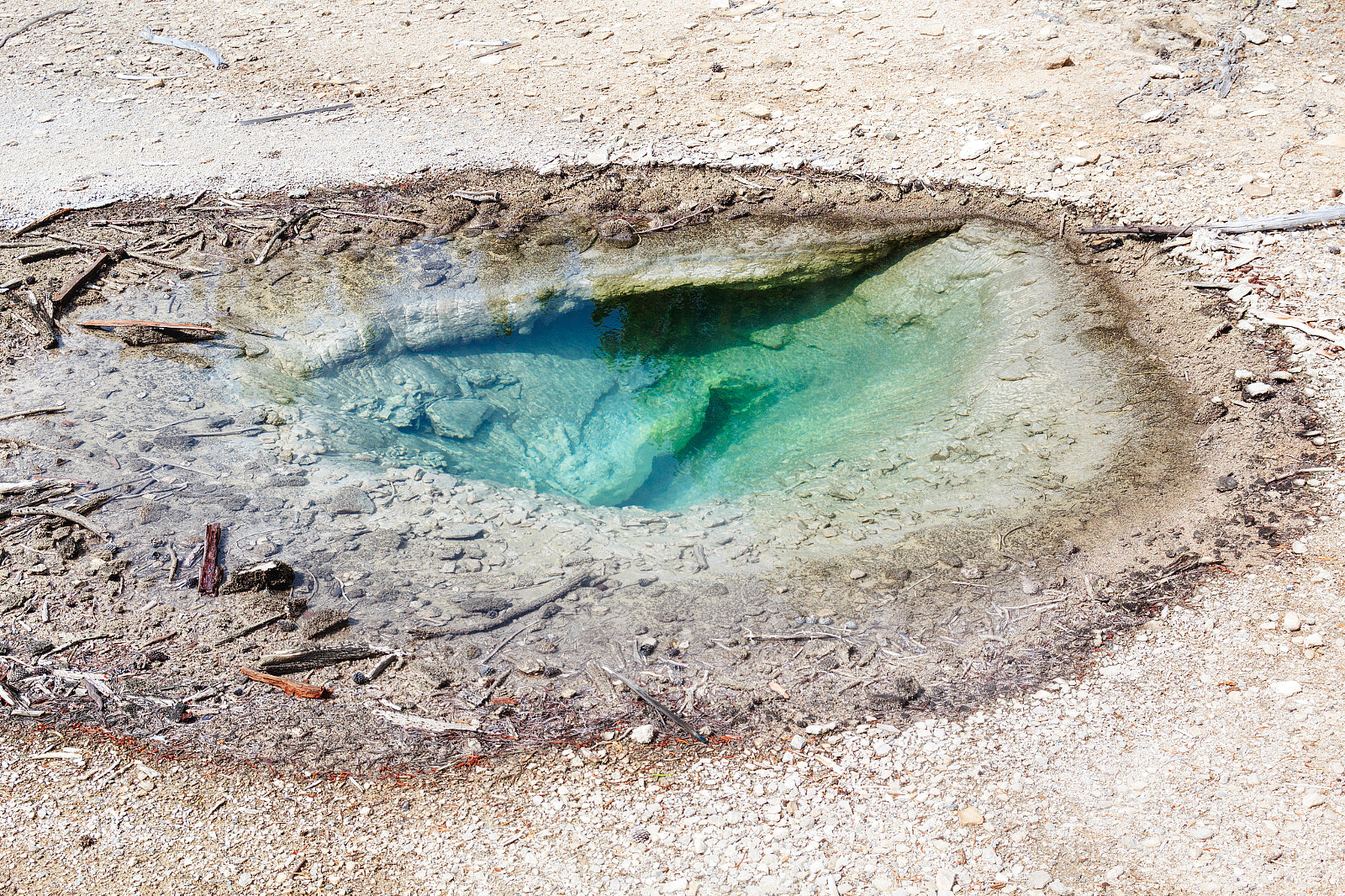 Canon EOS 600D (Rebel EOS T3i / EOS Kiss X5) sample photo. Dragon's eye photography