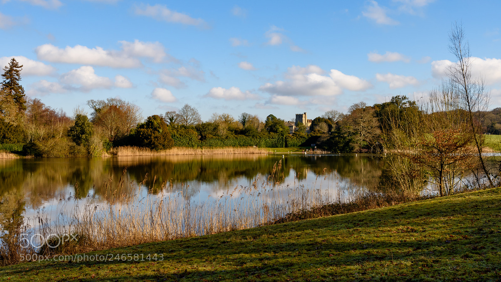 Nikon D810 sample photo. Ashburnham lake photography