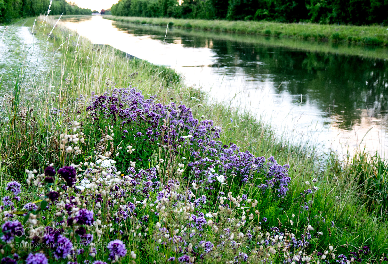 Panasonic DMC-G70 sample photo. On the river photography