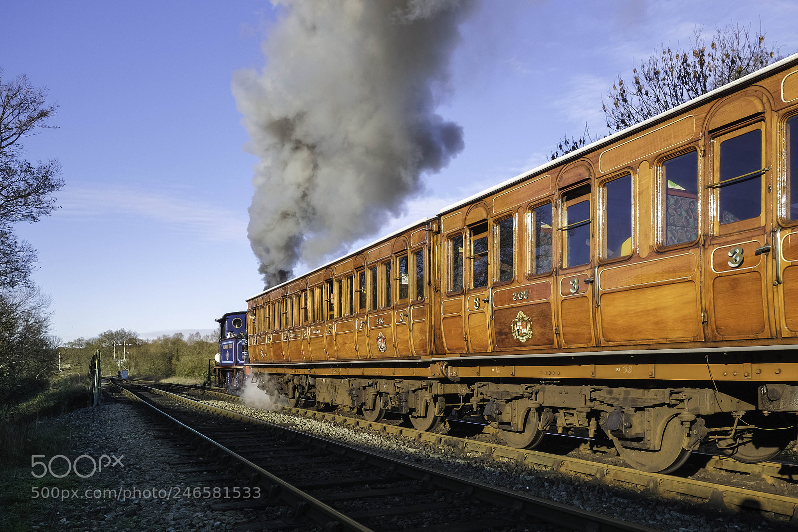 Fujifilm X-T1 sample photo. Bluebell leaving sheffield park photography
