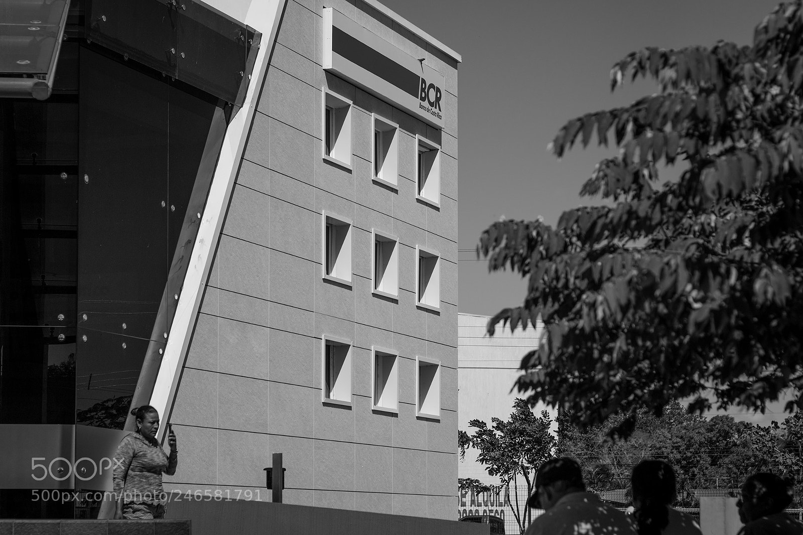 Canon EOS M3 sample photo. Bcr photography