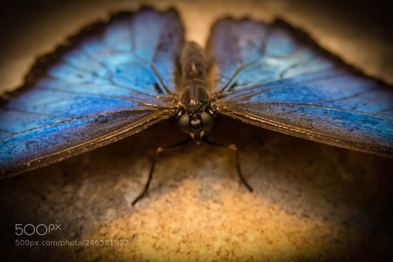 Nikon D7100 sample photo. 2573 photography