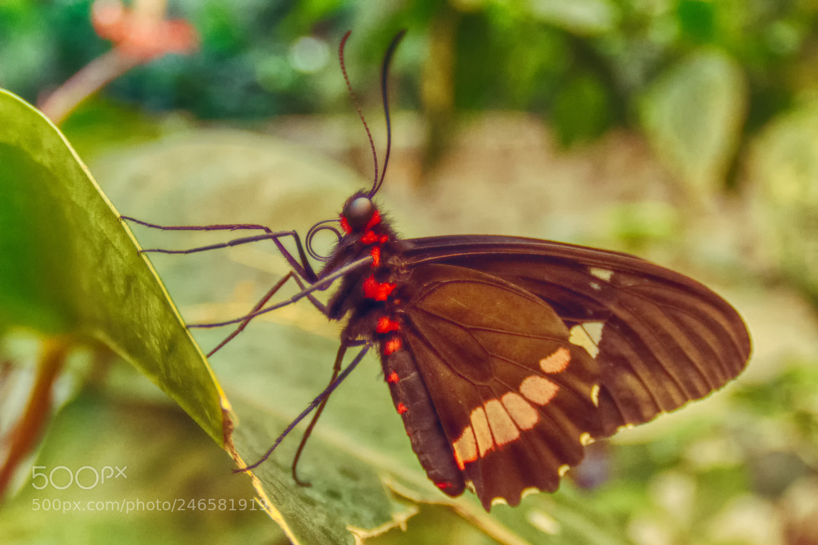 Nikon D7100 sample photo. 2583 photography