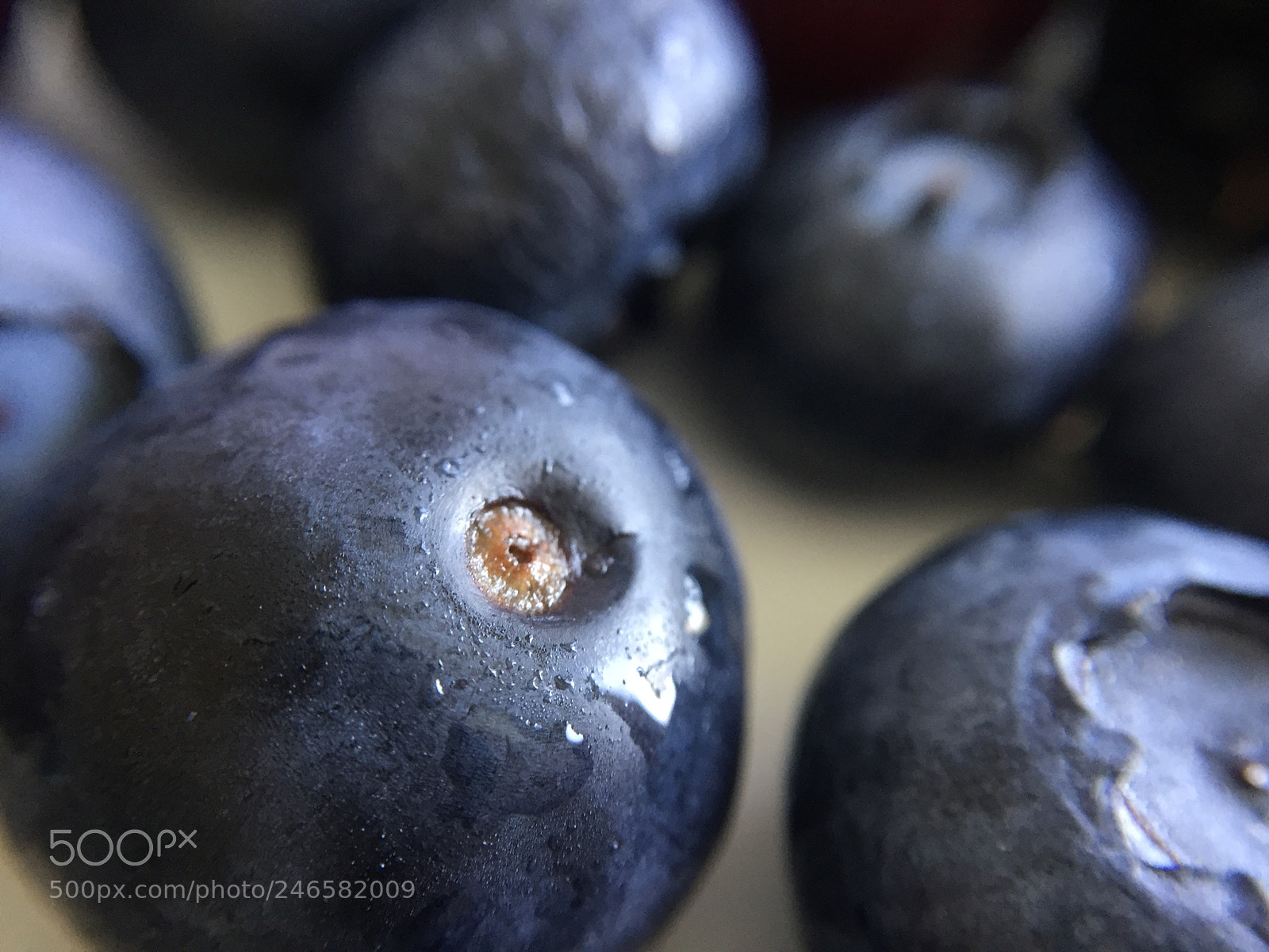 Apple iPhone 6 sample photo. Blueberries photography
