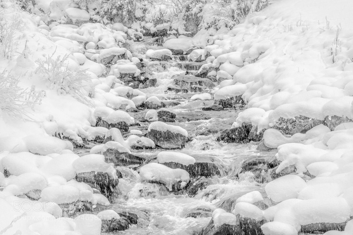 Canon EOS 400D (EOS Digital Rebel XTi / EOS Kiss Digital X) sample photo. Winter wonderland photography