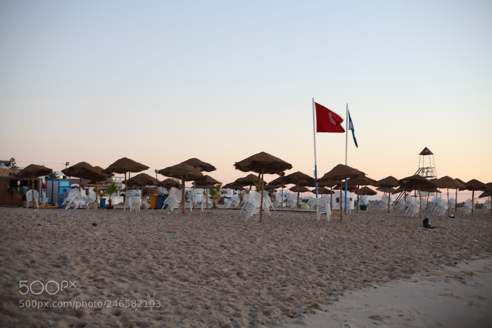 Canon EF 50mm F1.8 STM sample photo. Untitled photography