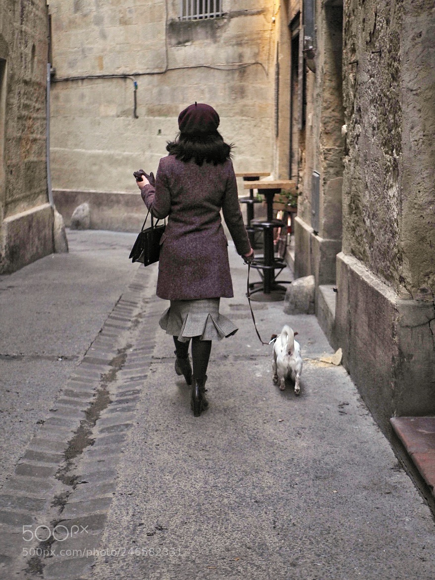 Olympus OM-D E-M5 II sample photo. The most french photo photography