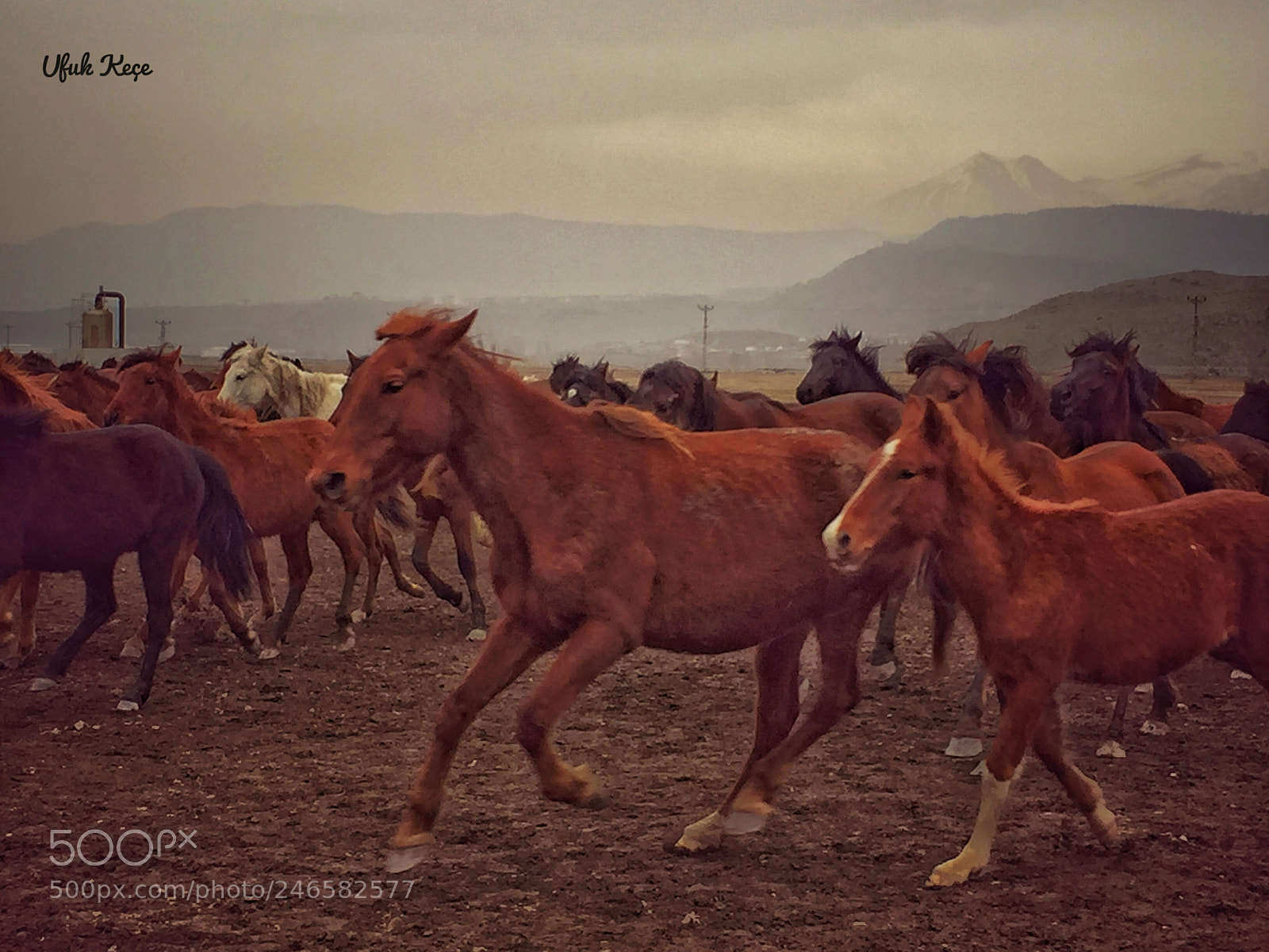 Apple iPhone 6 sample photo. Kayseri, hac lar, h photography