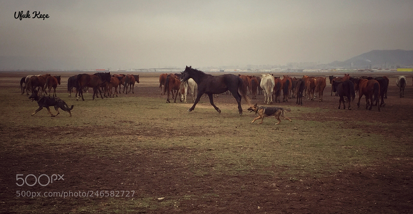 Apple iPhone 6 sample photo. Kayseri, hac lar, h photography