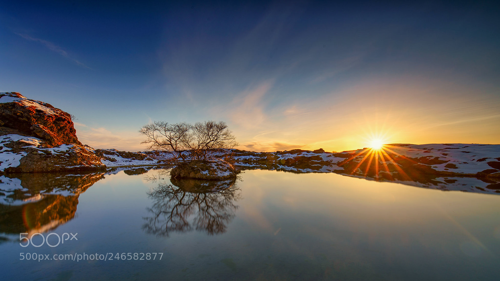 Sony a7R II sample photo. Lonely tree sunset photography