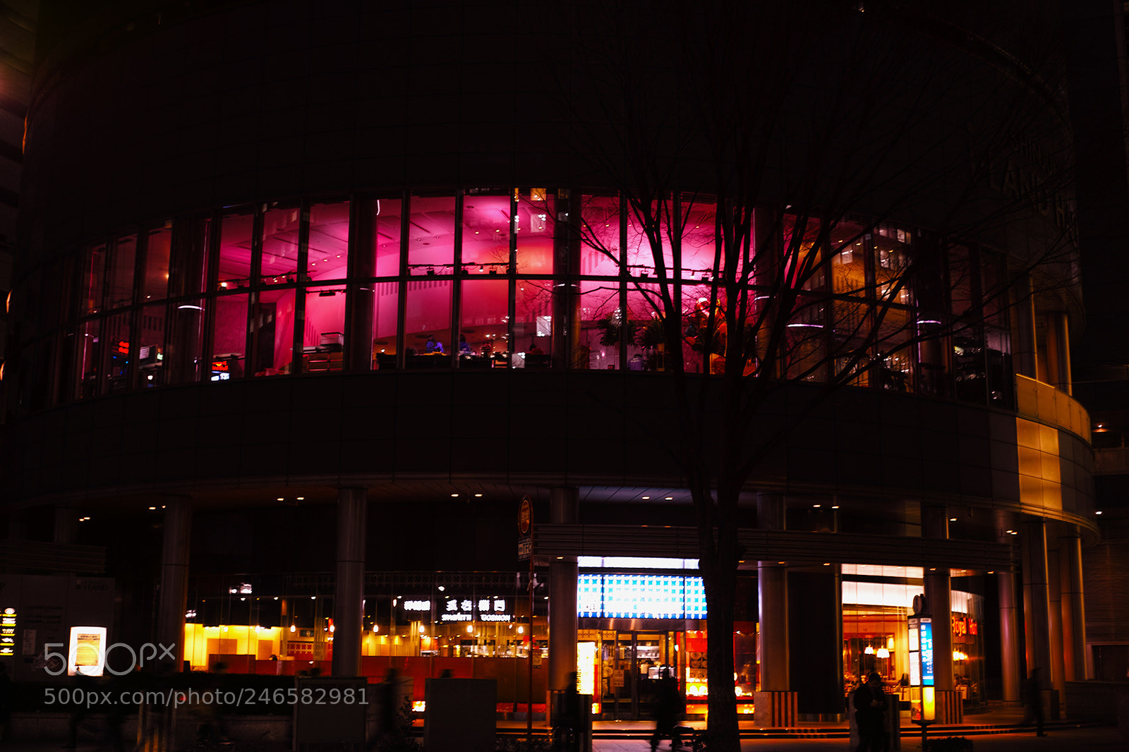 Sigma DP2 Merrill sample photo. Red-purple photography
