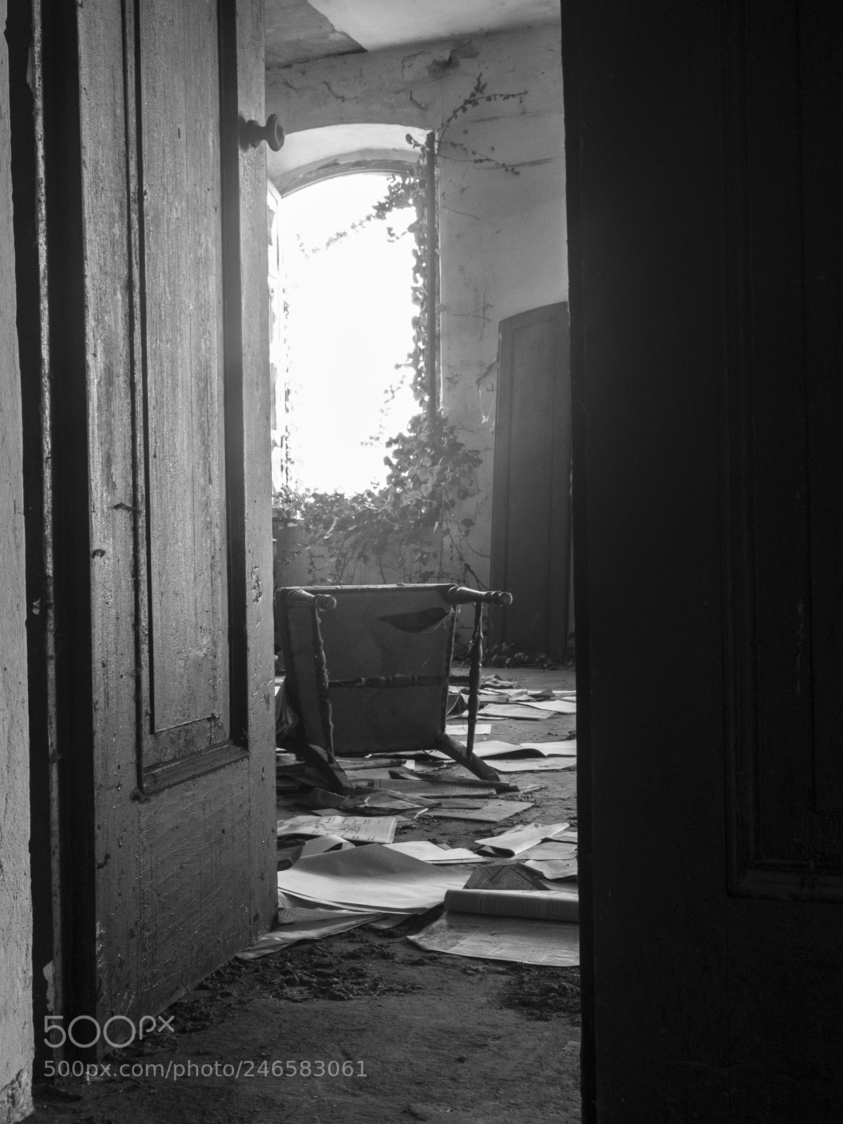 Olympus OM-D E-M10 sample photo. Scattered sheets photography