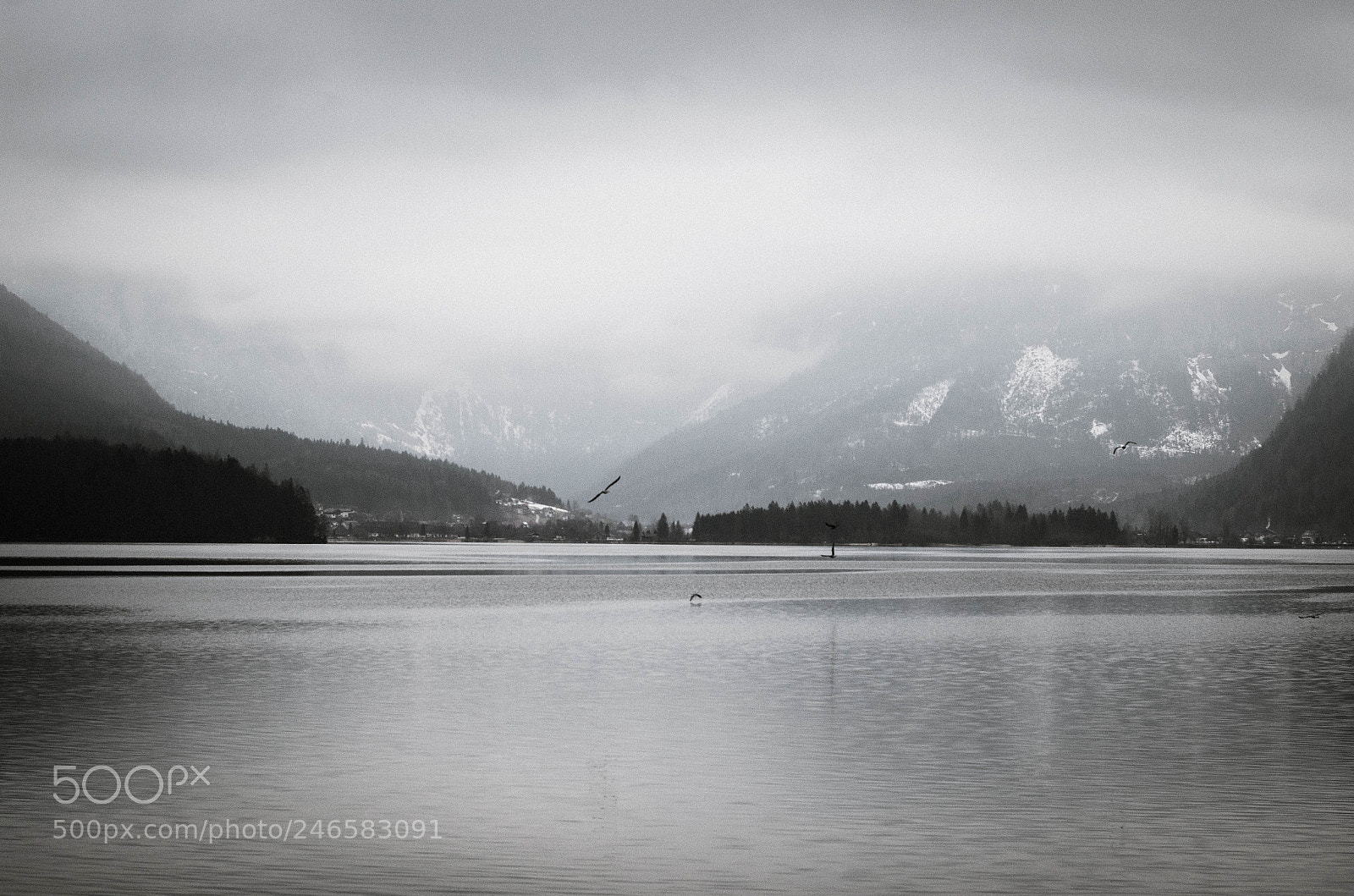 Nikon D5100 sample photo. Lake halstatter photography