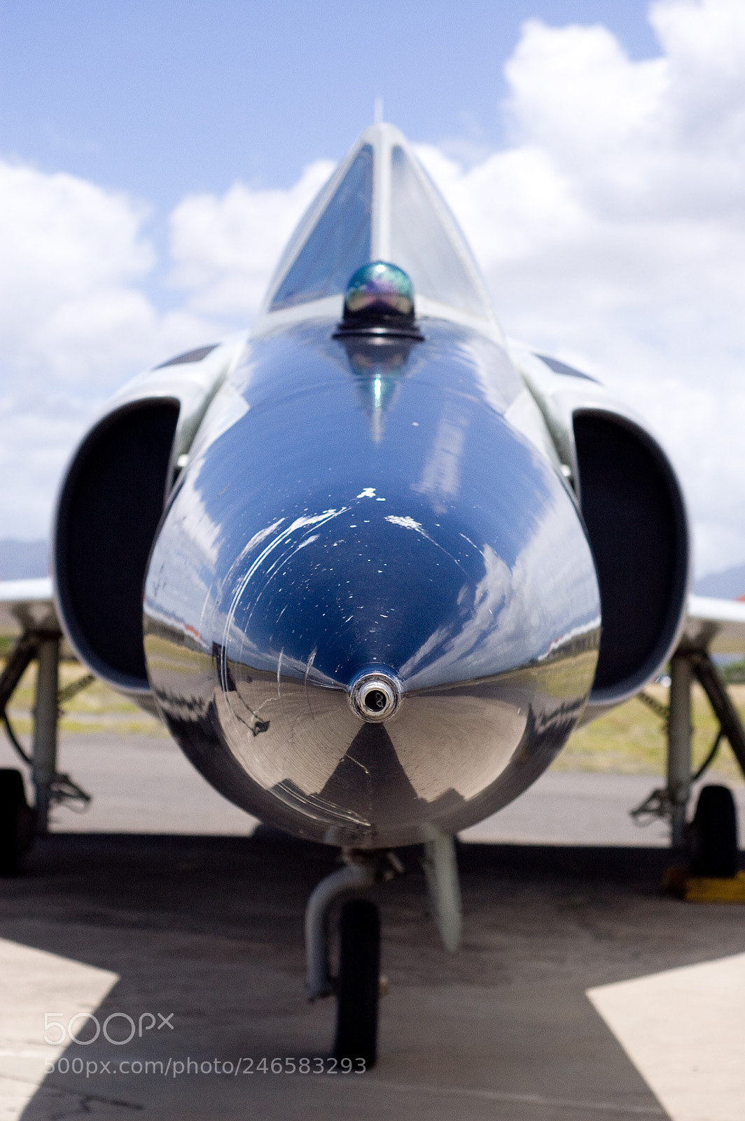 Nikon D40 sample photo. Hornet photography