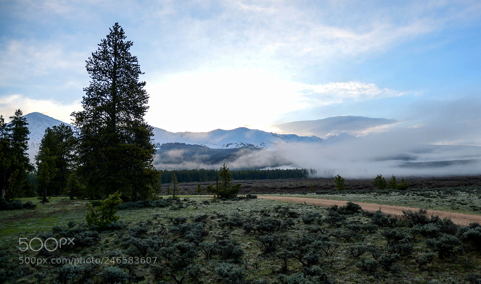 Nikon D500 sample photo. Colorado morning photography