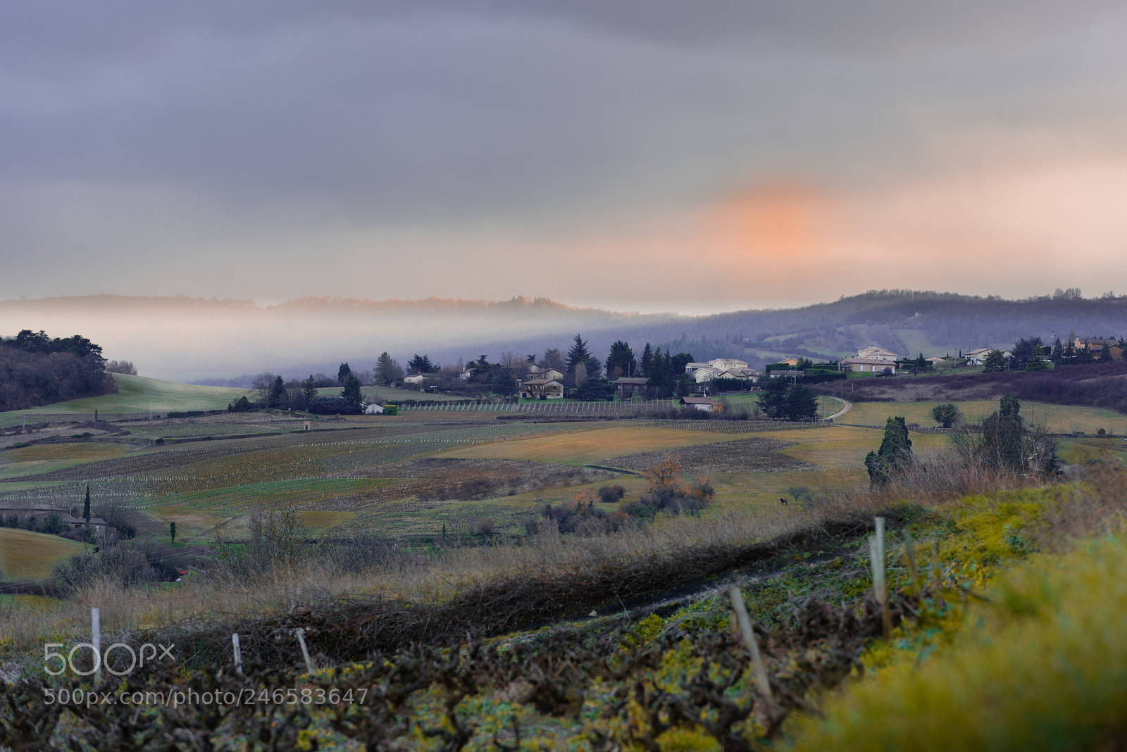 Nikon D810 sample photo. Les subtiles couleurs d'hiver. photography