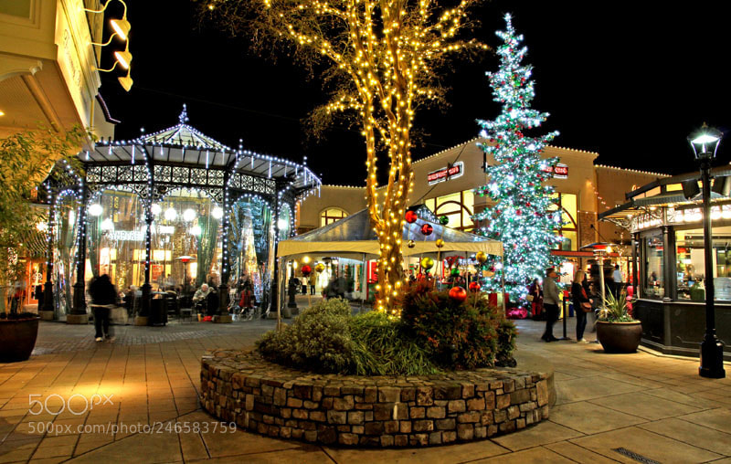 Canon EOS 50D sample photo. Christmas at an open photography