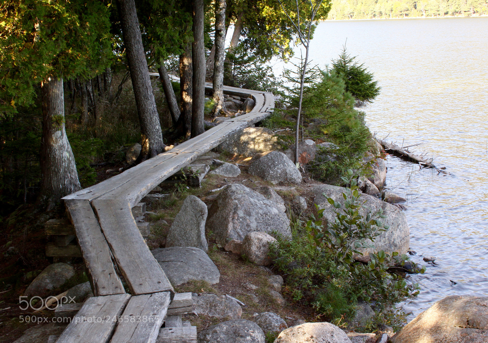 Canon EOS 50D sample photo. Crooked trail photography