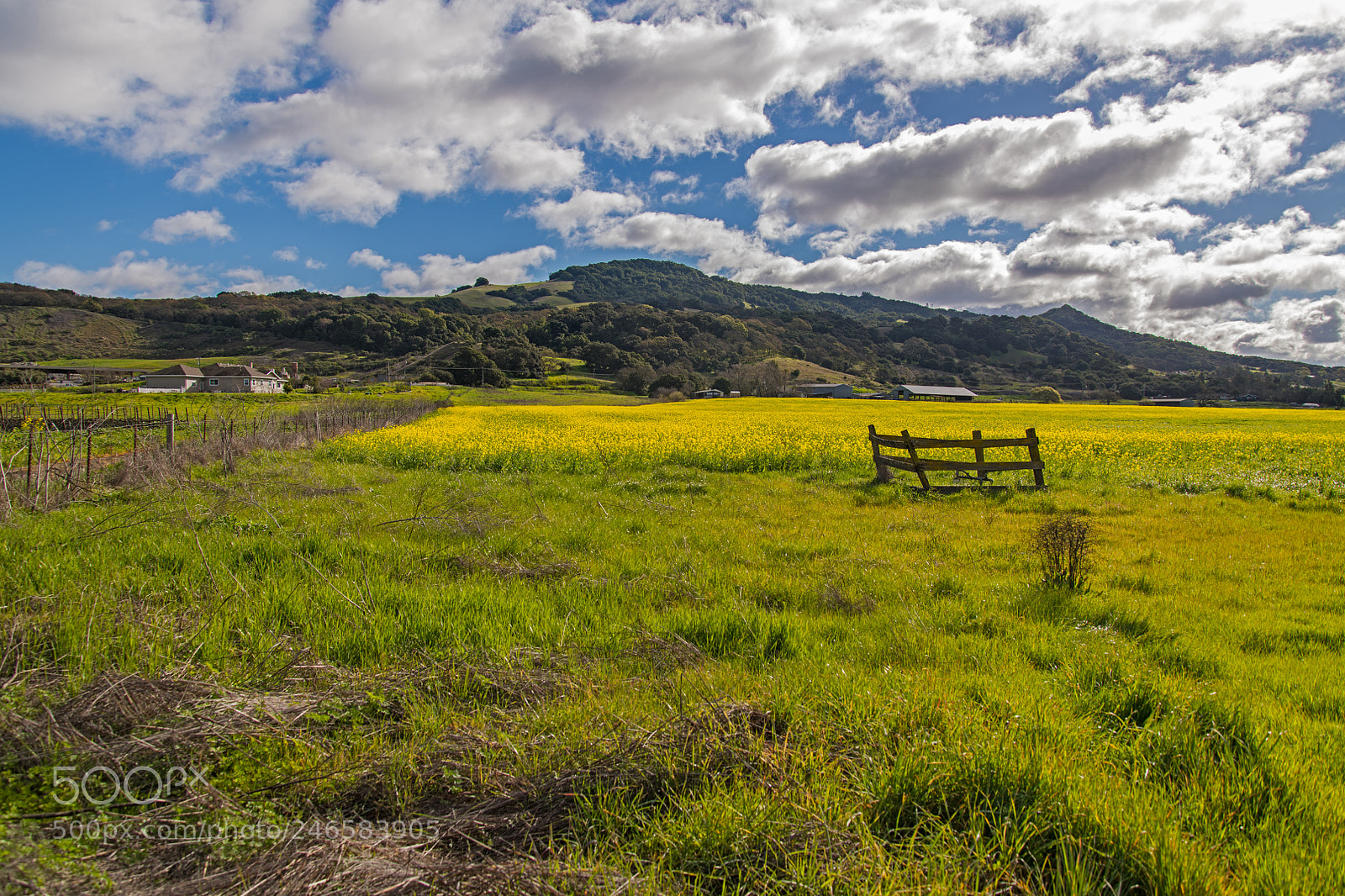 Nikon D850 sample photo. Petaluma hill road california photography