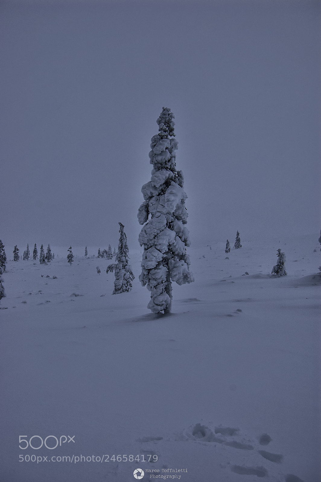 Nikon D50 sample photo. Saariselkä - lapland photography