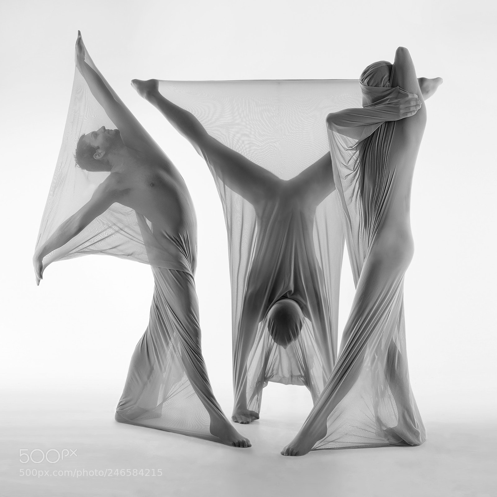 Nikon D800 sample photo. Transparent shapes photography